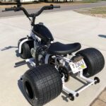 Black and white mini trike