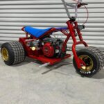 Custom Red premium trike