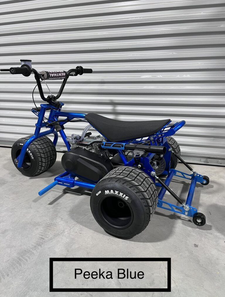 photo_2024-07-09_23-12-34 Peeka Blue mini trike - Image 1