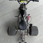 THE MINI TRIKE 2025 special edition