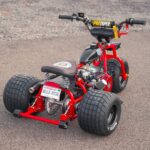 THE RED & BLACK 2025 edition